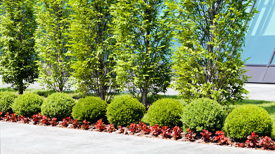 Pollinator-Friendly Landscapes